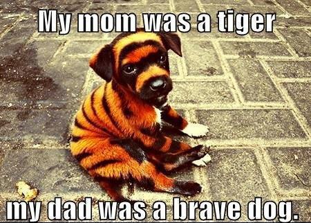 brave